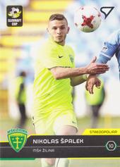 Špalek Nikolas 17-18 Futbalové Slovensko #8
