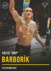 Barborík Vojto 2019 Oktagon MMA #B10