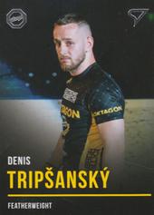 Tripšanský Denis 2019 Oktagon MMA #B12