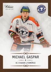 Gaspar Michael 18-19 OFS Chance liga #213