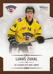 Zukal Lukáš 18-19 OFS Chance liga #252