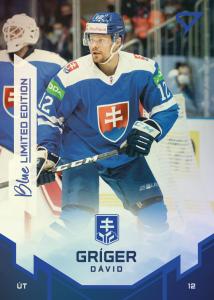 Gríger Dávid 2022 Hokejové Slovensko Blue #30