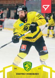 Vorobyev Dmitri 22-23 Slovenská hokejová liga #140