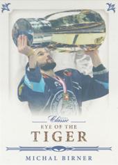Birner Michal 16-17 OFS Classic Eye of the Tiger Gold Rainbow #EOT-03
