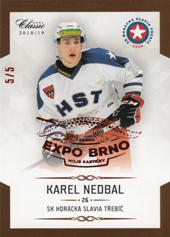 Nedbal Karel 18-19 OFS Chance liga Expo Brno #183