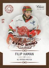 Haman Filip 18-19 OFS Chance liga Expo Brno #196