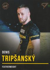 Trpišanský Denis 2019 Oktagon MMA Gold #B12