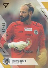 Reichl Michal 22-23 Fortuna Liga Gold #67