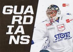 Eriksson Joacim 21-22 Playercards DEL Guardians Gold #GU13