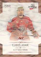 Adam Luboš 18-19 OFS Chance liga Ice Water #294