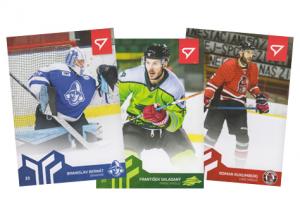 Kompletní set 20-21 SportZoo Slovenská hokejová liga řadové karty #1-180