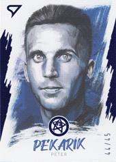 Pekarík Peter 2021 Slovenskí Sokoli Street Art Portrait Blue #SP05