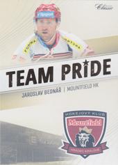 Bednář Jaroslav 16-17 OFS Classic Team Pride #TP-8
