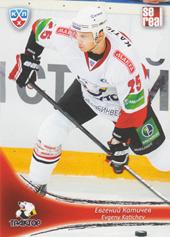 Katichev Evgeni 13-14 KHL Sereal #TRK-006