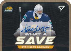 Galimov Stanislav 23-24 Tipos Extraliga What a Save Auto #WSS-SG